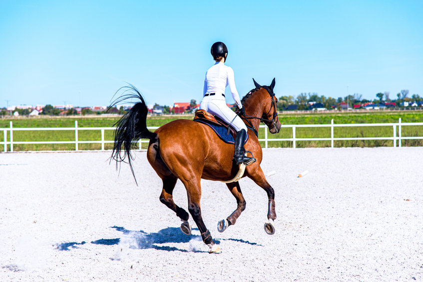 Bottes d'équitation